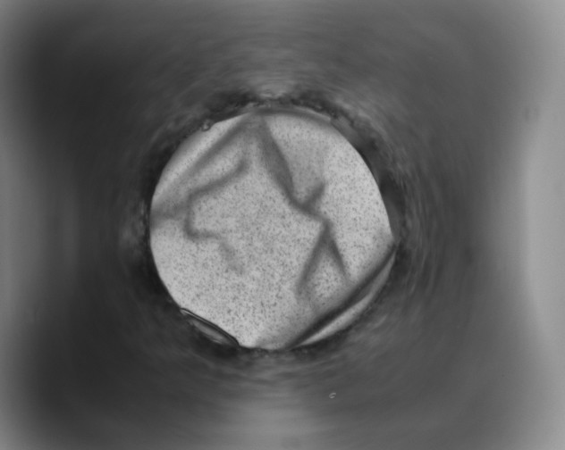X0000089711349200707201752