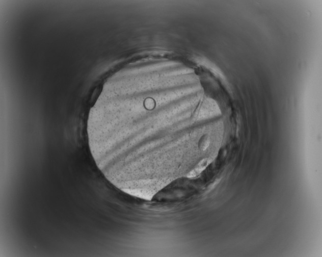 X0000089711352200707201752