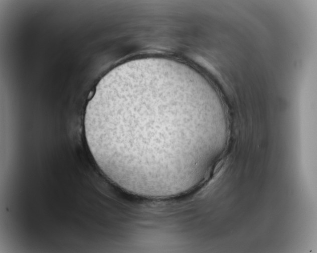 X0000089711355200707201752
