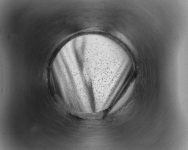 X0000089711356200707201752
