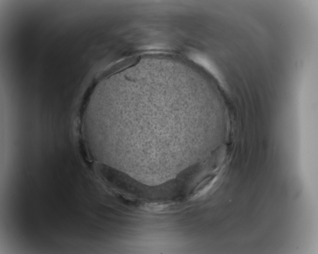 X0000089711357200707201752