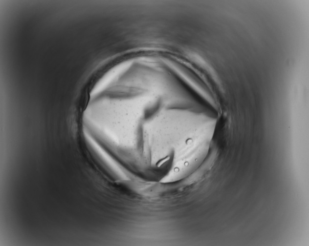 X0000089711360200707201752