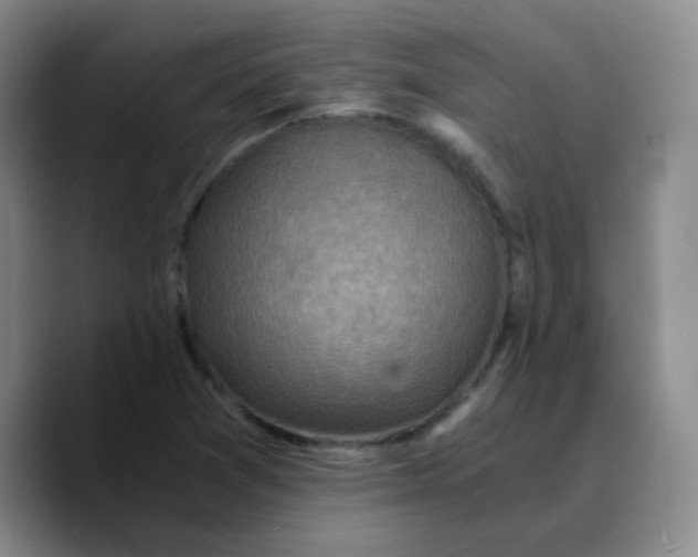 X0000089711361200707201752