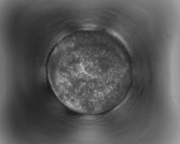 X0000089711362200707201752