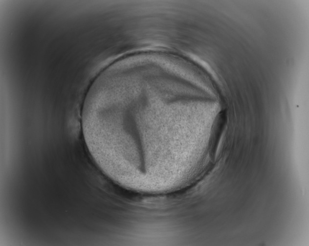 X0000089711363200707201752