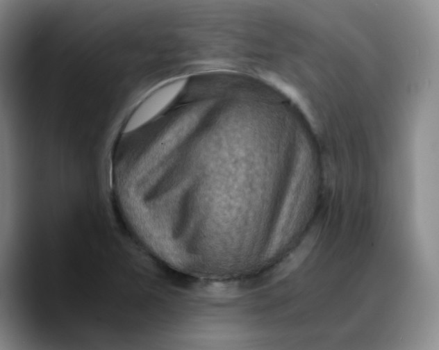 X0000089711365200707201752