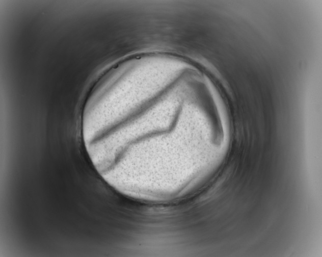 X0000089711366200707201752