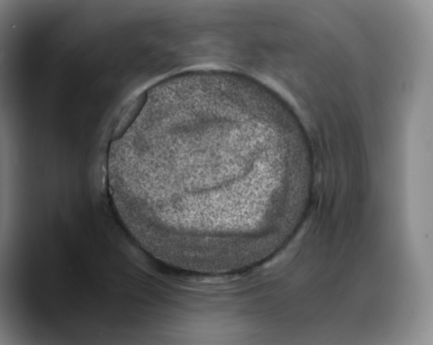 X0000089711367200707201752