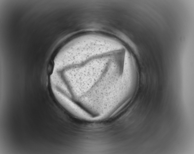 X0000089711368200707201752