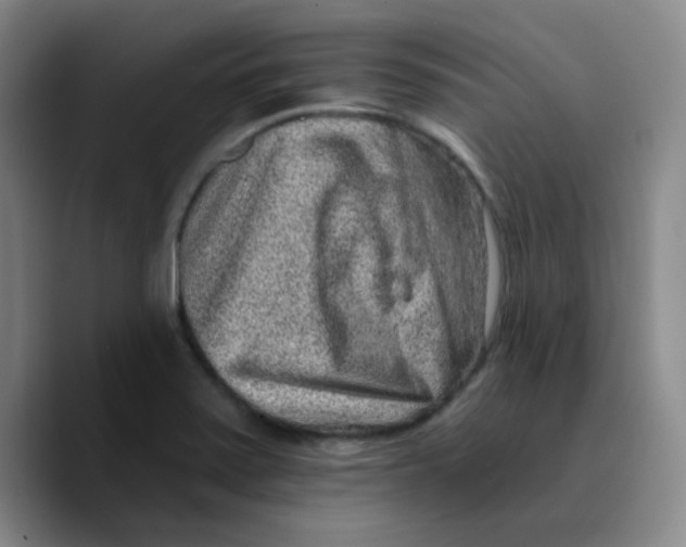 X0000089711371200707201752