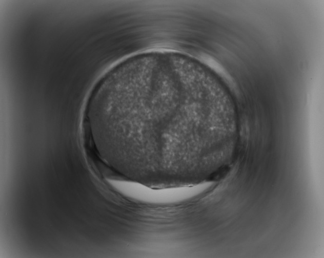 X0000089711372200707201752