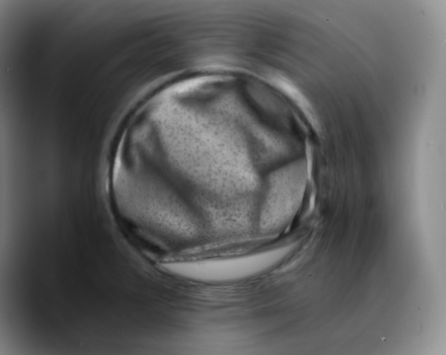 X0000089711376200707201752
