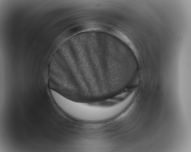 X0000089711377200707201752