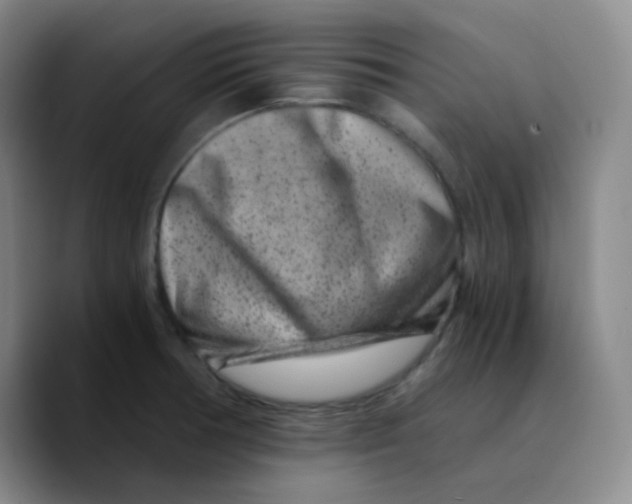 X0000089711378200707201752