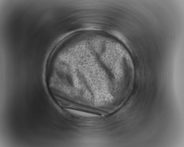 X0000089711379200707201752