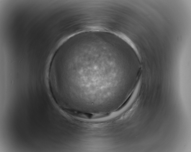 X0000089711381200707201752