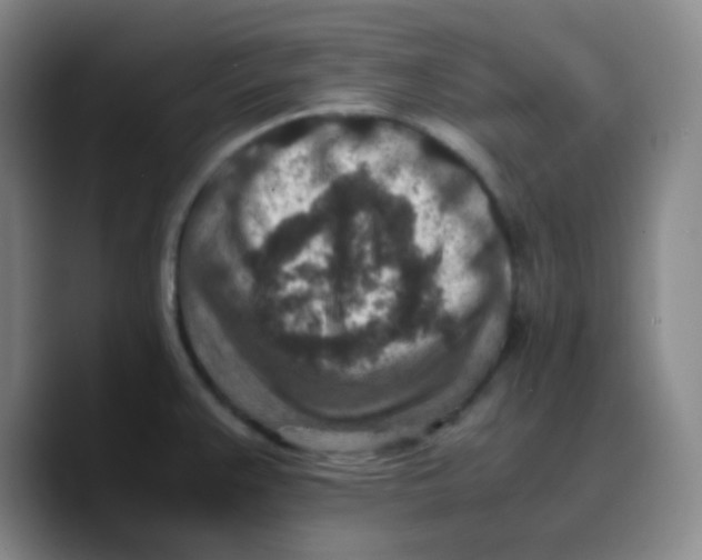X0000089711383200707201752