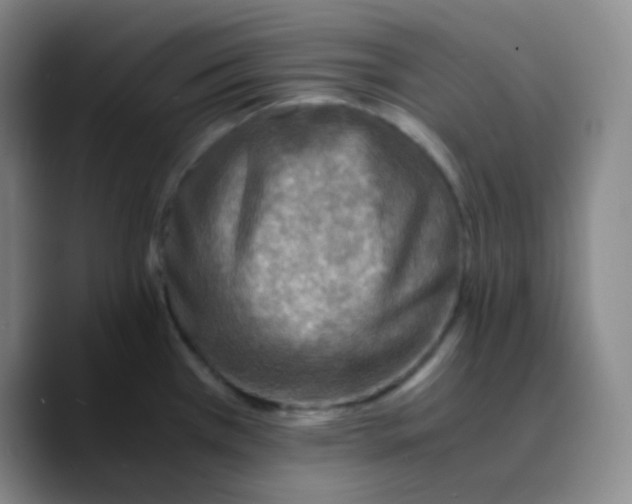 X0000089711385200707201752