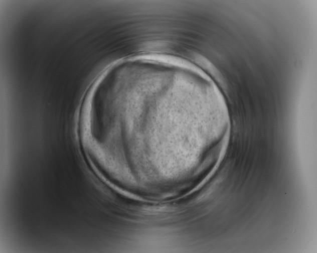X0000089711386200707201752