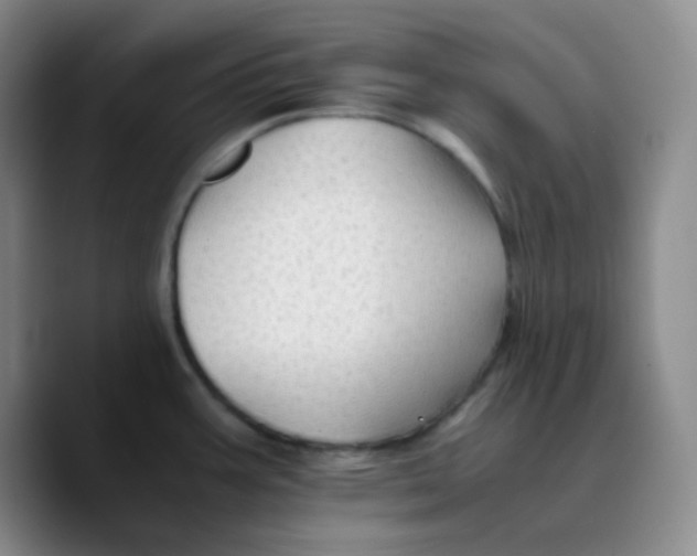 X0000089711387200707201752