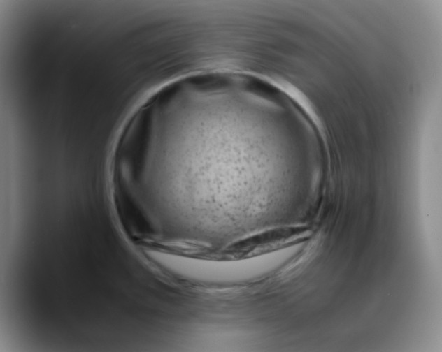 X0000089711389200707201752