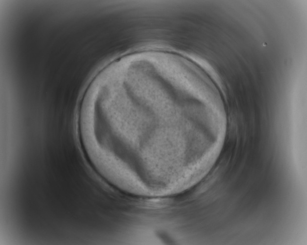 X0000089711390200707201752