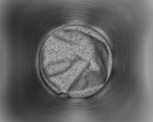 X0000089711391200707201752