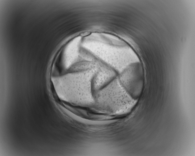 X0000089711392200707201752