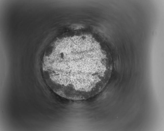 X0000089711393200707201751