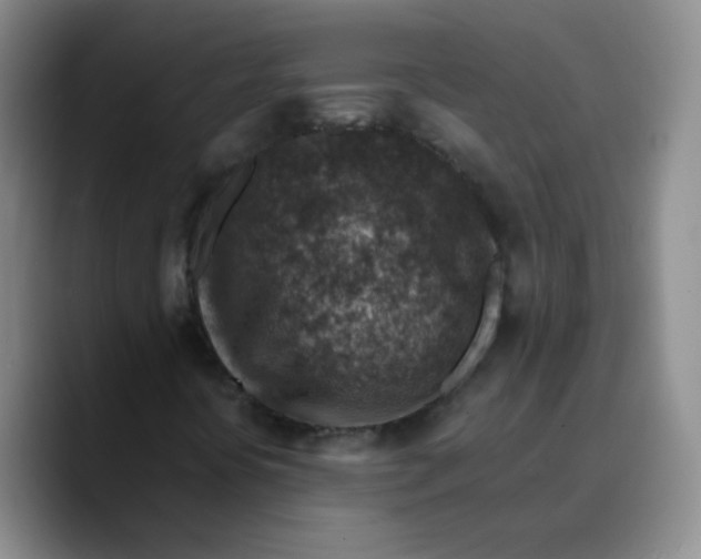 X0000089711394200707201751