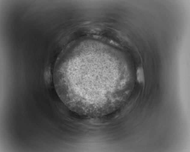 X0000089711395200707201751