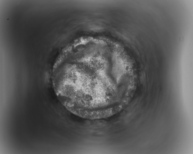 X0000089711397200707201751