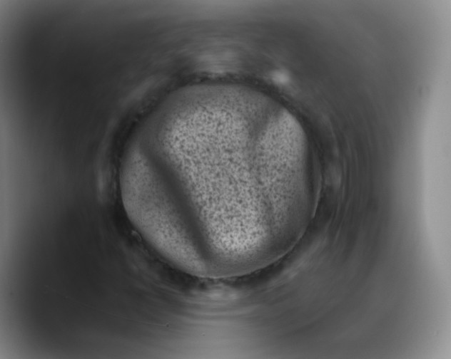 X0000089711398200707201751