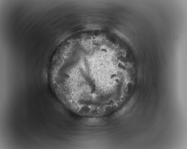 X0000089711401200707201751