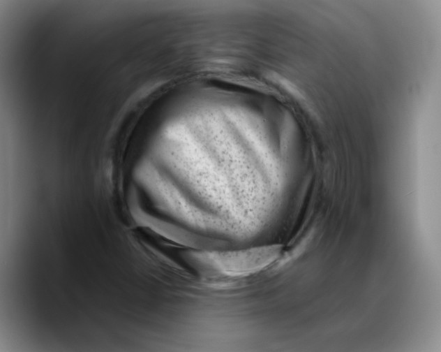 X0000089711402200707201751