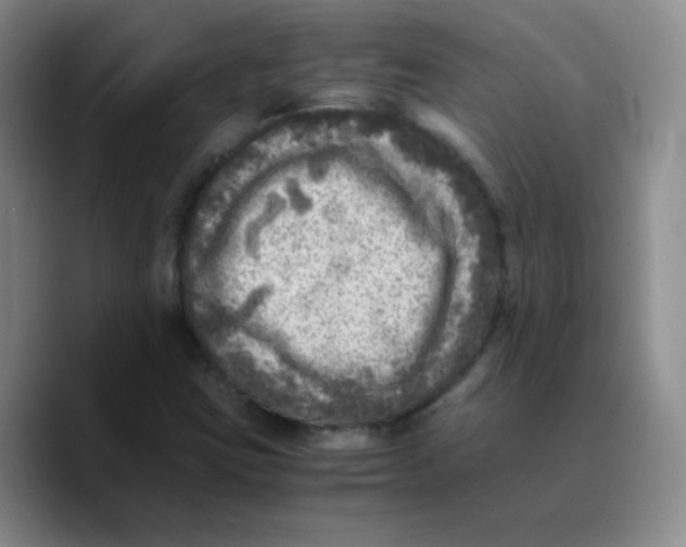 X0000089711403200707201751