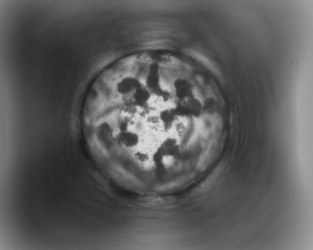 X0000089711405200707201751