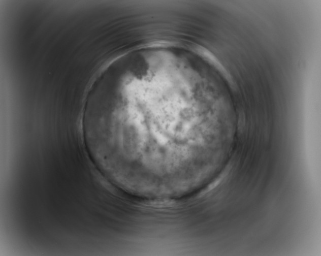 X0000089711417200707201751