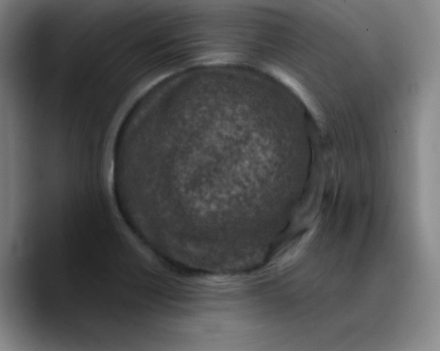 X0000089711418200707201751