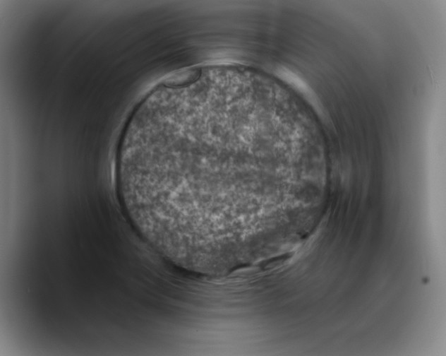 X0000089711419200707201751