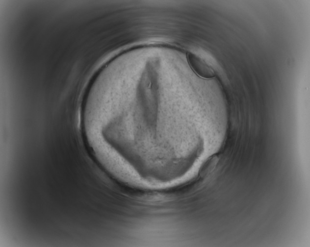 X0000089711420200707201751