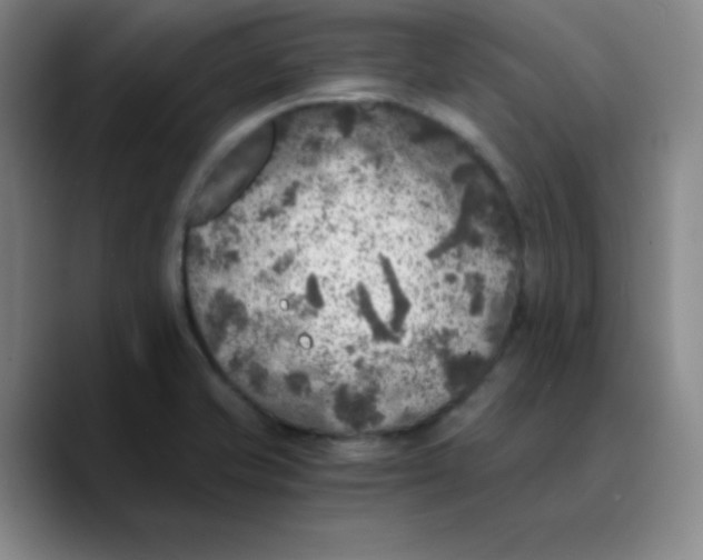 X0000089711421200707201751