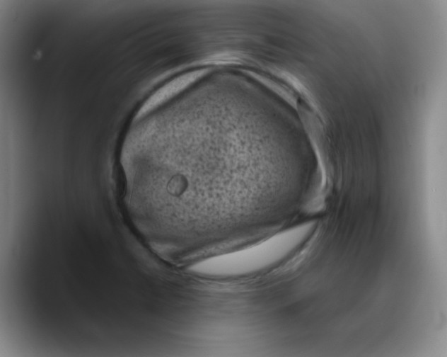 X0000089711422200707201751