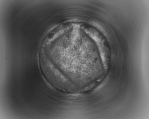 X0000089711425200707201751