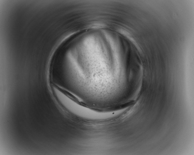 X0000089711426200707201751