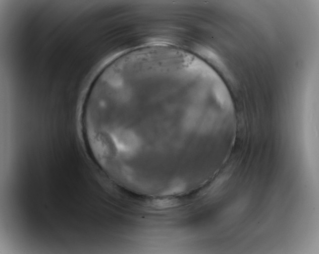 X0000089711427200707201751