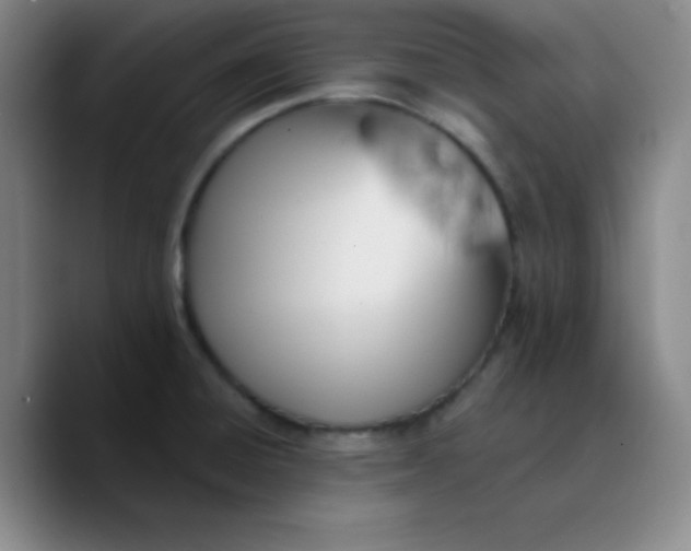 X0000089711428200707201751