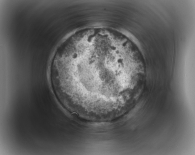 X0000089711429200707201751