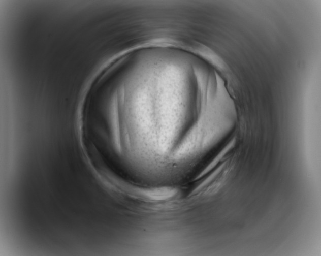 X0000089711430200707201751