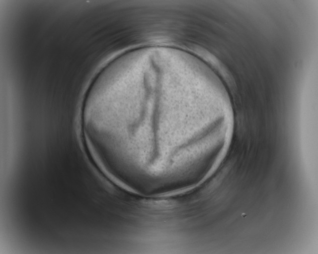 X0000089711432200707201751